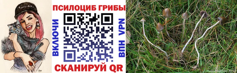 Псилоцибиновые грибы Magic Shrooms  Гаджиево 