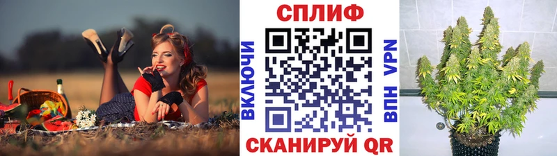 где продают наркотики  Гаджиево  Бошки Шишки индика 